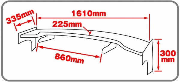 画像3: 3Dカーボンリアウィング T-2 (3)