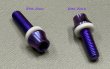 画像1: M6x20ｍｍ/25ｍｍテーパーヘッドチタンボルト（テフロンワッシャー付き）　1本　紫青色 (1)