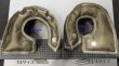 画像4: Heatshield Products ターボブランケットTitanium (4)